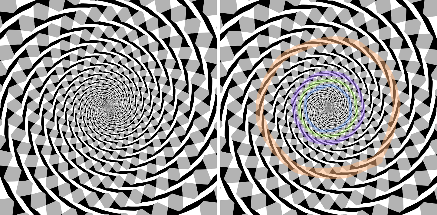 Fraser Spiral Illusion