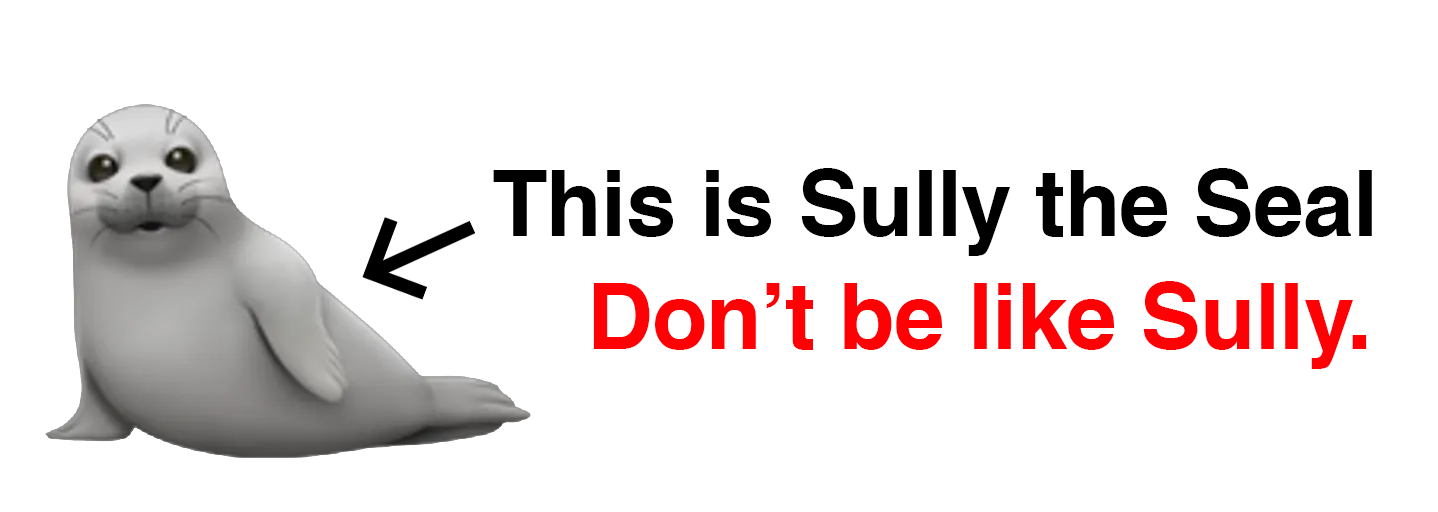 Sully the Seal